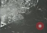 Standbild Vereinigten Staaten Truppen San Jose Island Panama, 1944, aus Sekunde 57 historischem Filmmaterial Videoclip 65675060518