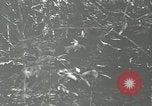 Standbild Vereinigten Staaten Truppen San Jose Island Panama, 1944, aus Sekunde 59 historischem Filmmaterial Videoclip 65675060518