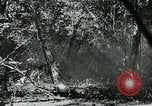 Immagine di Stati Uniti truppe San Jose Island Panama, 1944, secondo 51 filmato di repertorio 65675060519