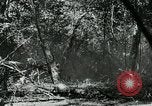 Immagine di Stati Uniti truppe San Jose Island Panama, 1944, secondo 52 filmato di repertorio 65675060519