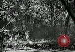Immagine di Stati Uniti truppe San Jose Island Panama, 1944, secondo 53 filmato di repertorio 65675060519