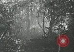 Immagine di Stati Uniti truppe San Jose Island Panama, 1944, secondo 58 filmato di repertorio 65675060519