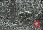 Image les troupes des États-Unis l'île San Jose Panama, 1944, de la seconde 37 séquences d'archives historiques vidéo 65675060520