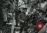 Image les troupes des États-Unis l'île San Jose Panama, 1944, de la seconde 57 séquences d'archives historiques vidéo 65675060520