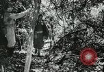 Image les troupes des États-Unis l'île San Jose Panama, 1944, de la seconde 60 séquences d'archives historiques vidéo 65675060520