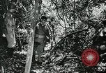 Image les troupes des États-Unis l'île San Jose Panama, 1944, de la seconde 62 séquences d'archives historiques vidéo 65675060520