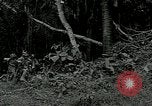 Image of United States troops San Jose Island Panama, 1944, second 10 stock footage video 65675060521