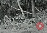 Image of United States troops San Jose Island Panama, 1944, second 11 stock footage video 65675060521