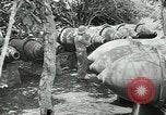 Image of United States troops San Jose Island Panama, 1944, second 25 stock footage video 65675060521