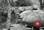Image of United States troops San Jose Island Panama, 1944, second 27 stock footage video 65675060521