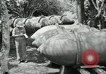 Image of United States troops San Jose Island Panama, 1944, second 29 stock footage video 65675060521