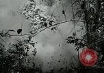 Image of United States troops San Jose Island Panama, 1944, second 51 stock footage video 65675060521