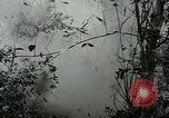 Image of United States troops San Jose Island Panama, 1944, second 52 stock footage video 65675060521