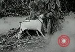 Image of United States troops San Jose Island Panama, 1944, second 4 stock footage video 65675060523