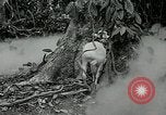 Image of United States troops San Jose Island Panama, 1944, second 6 stock footage video 65675060523