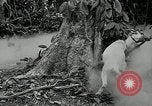 Image of United States troops San Jose Island Panama, 1944, second 8 stock footage video 65675060523