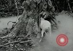 Image of United States troops San Jose Island Panama, 1944, second 9 stock footage video 65675060523