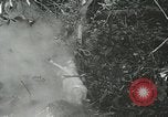 Image of United States troops San Jose Island Panama, 1944, second 13 stock footage video 65675060523