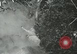 Image of United States troops San Jose Island Panama, 1944, second 15 stock footage video 65675060523