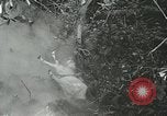 Image of United States troops San Jose Island Panama, 1944, second 18 stock footage video 65675060523