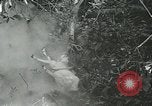 Image of United States troops San Jose Island Panama, 1944, second 19 stock footage video 65675060523