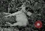 Image of United States troops San Jose Island Panama, 1944, second 21 stock footage video 65675060523