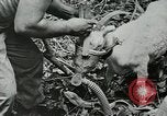 Image of United States troops San Jose Island Panama, 1944, second 49 stock footage video 65675060523
