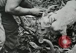 Image of United States troops San Jose Island Panama, 1944, second 50 stock footage video 65675060523