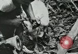 Image of United States troops San Jose Island Panama, 1944, second 53 stock footage video 65675060523