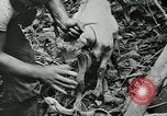 Image of United States troops San Jose Island Panama, 1944, second 54 stock footage video 65675060523