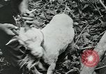 Image of United States troops San Jose Island Panama, 1944, second 55 stock footage video 65675060523