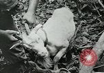 Image of United States troops San Jose Island Panama, 1944, second 56 stock footage video 65675060523