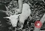 Image of United States troops San Jose Island Panama, 1944, second 57 stock footage video 65675060523
