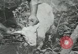Image of United States troops San Jose Island Panama, 1944, second 58 stock footage video 65675060523