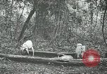 Standbild United States Army officers San Jose Island Panama, 1944, aus Sekunde 41 historischem Filmmaterial Videoclip 65675060525