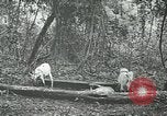 Standbild United States Army officers San Jose Island Panama, 1944, aus Sekunde 42 historischem Filmmaterial Videoclip 65675060525
