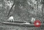 Standbild United States Army officers San Jose Island Panama, 1944, aus Sekunde 43 historischem Filmmaterial Videoclip 65675060525
