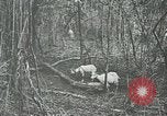 Standbild United States Army officers San Jose Island Panama, 1944, aus Sekunde 51 historischem Filmmaterial Videoclip 65675060525