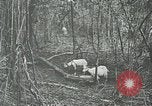 Standbild United States Army officers San Jose Island Panama, 1944, aus Sekunde 52 historischem Filmmaterial Videoclip 65675060525