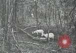 Standbild United States Army officers San Jose Island Panama, 1944, aus Sekunde 53 historischem Filmmaterial Videoclip 65675060525