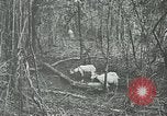 Standbild United States Army officers San Jose Island Panama, 1944, aus Sekunde 54 historischem Filmmaterial Videoclip 65675060525