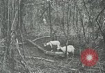 Standbild United States Army officers San Jose Island Panama, 1944, aus Sekunde 55 historischem Filmmaterial Videoclip 65675060525
