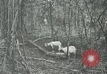 Standbild United States Army officers San Jose Island Panama, 1944, aus Sekunde 56 historischem Filmmaterial Videoclip 65675060525