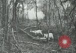 Standbild United States Army officers San Jose Island Panama, 1944, aus Sekunde 57 historischem Filmmaterial Videoclip 65675060525
