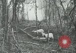 Standbild United States Army officers San Jose Island Panama, 1944, aus Sekunde 58 historischem Filmmaterial Videoclip 65675060525