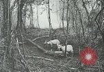 Standbild United States Army officers San Jose Island Panama, 1944, aus Sekunde 59 historischem Filmmaterial Videoclip 65675060525