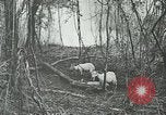 Standbild United States Army officers San Jose Island Panama, 1944, aus Sekunde 60 historischem Filmmaterial Videoclip 65675060525