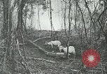 Standbild United States Army officers San Jose Island Panama, 1944, aus Sekunde 61 historischem Filmmaterial Videoclip 65675060525