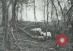Standbild United States Army officers San Jose Island Panama, 1944, aus Sekunde 62 historischem Filmmaterial Videoclip 65675060525
