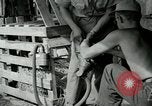 Image of B-24 Liberator bombers San Jose Island Panama, 1944, second 52 stock footage video 65675060527